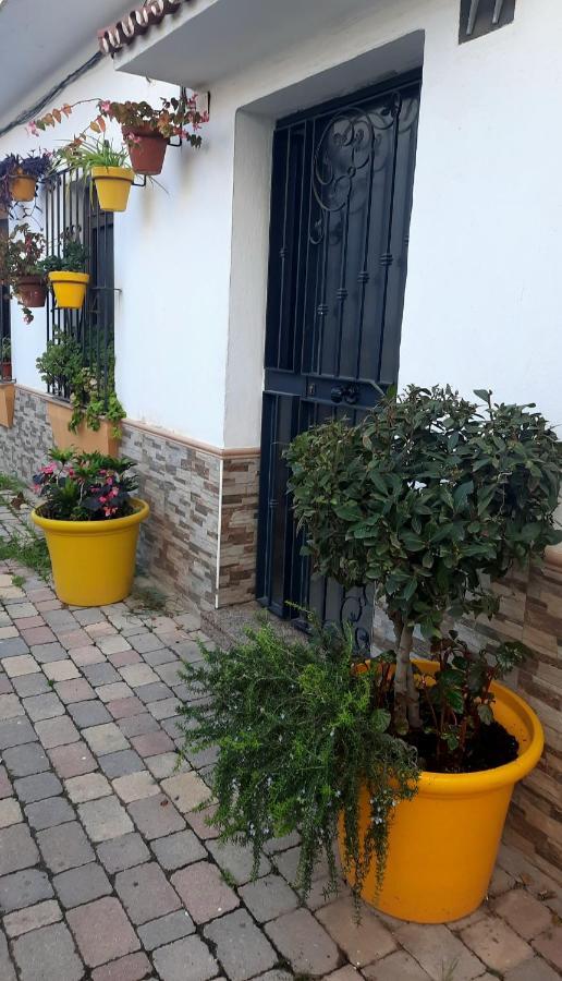 Apartamento En Casco Historico Daire Estepona Dış mekan fotoğraf